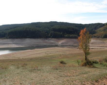 Best Western Plus Hotel Perla del Porto, 4 stelle a Catanzaro Lido, è a pochi minuti dal parco naturale della Sila