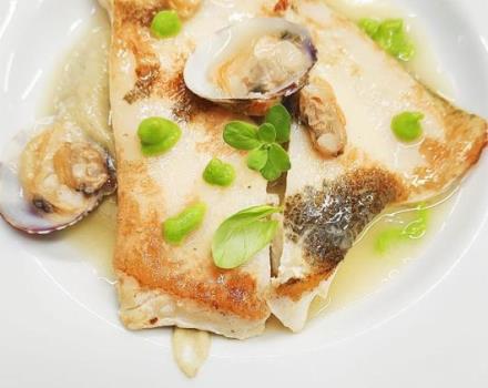 Turbot on violet artichoke soup, clams and seafood sauce