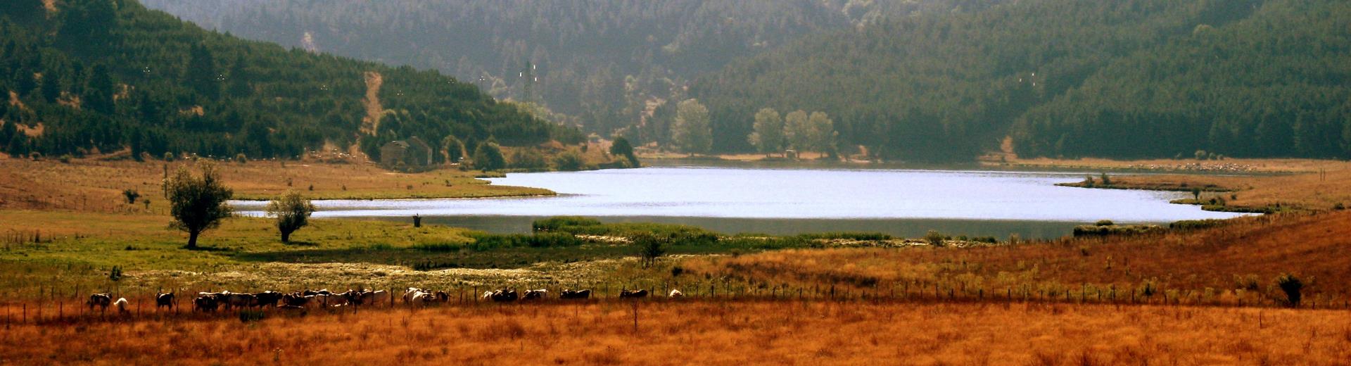 Il Parco della Sila è facilmente raggiungibile da Best Western Plus hotel Perla del Porto, 4 stelle a Catanzaro